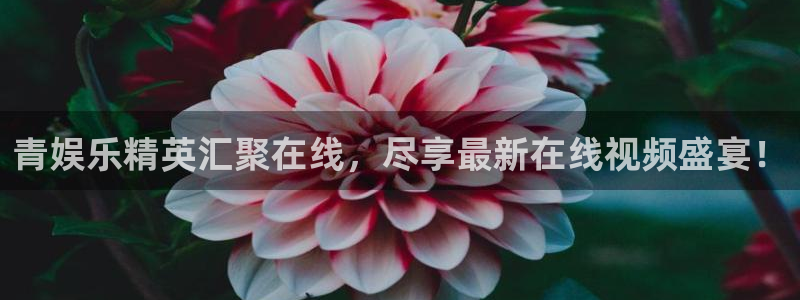 环球360一比一代理合作：青娱乐精英汇聚在线，尽享最新在线视频盛宴！