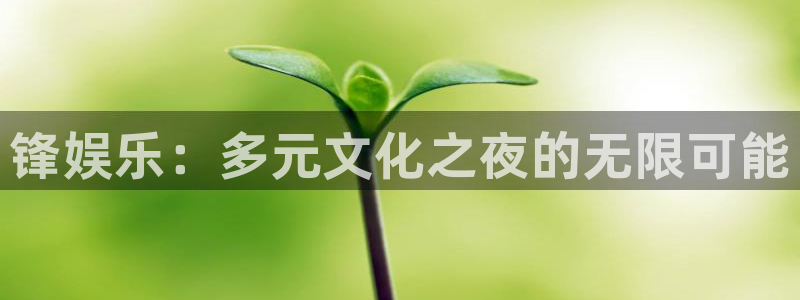 环球360：锋娱乐：多元文化之夜的无限可能