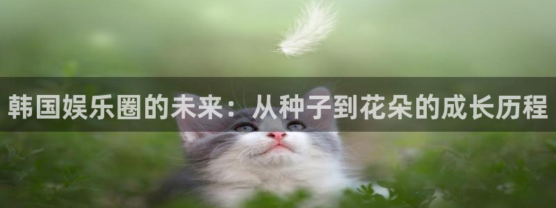 环球360一比一上分：韩国娱乐圈的未来：从种子到花朵的成长历程