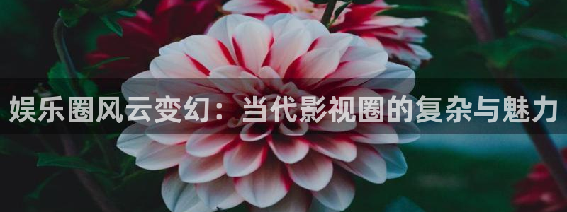 环球360娱乐官网免费观看：娱乐圈风云变幻：当代影视圈的复杂与魅力