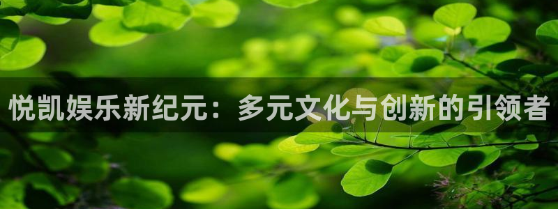 环球360一比一代理合作：悦凯娱乐新纪元：多元文化与创新的引领者