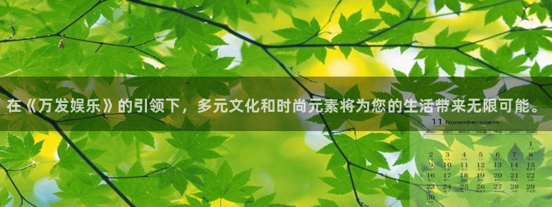 环球360娱乐官网免费观看：在《万发娱乐》的引领下，多元文化和时尚元素将为您的生活带来无限可能。