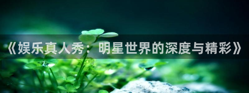 环球360官网会员注册：《娱乐真人秀：明星世界的深度与精彩》