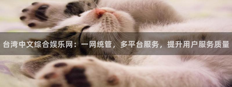 环球360一比一：台湾中文综合娱乐网：一网统管，多平台服务，提升用户服务质量